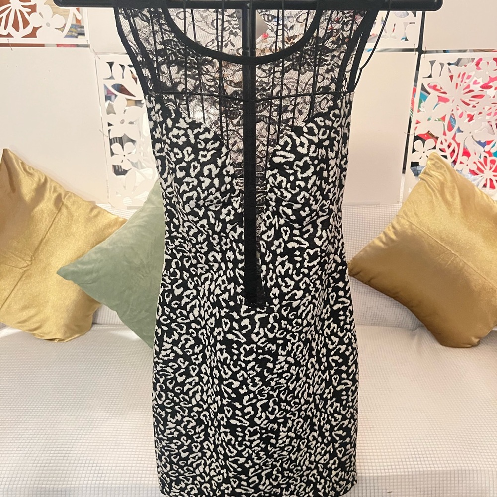 Elegant Black and White Lace Dress